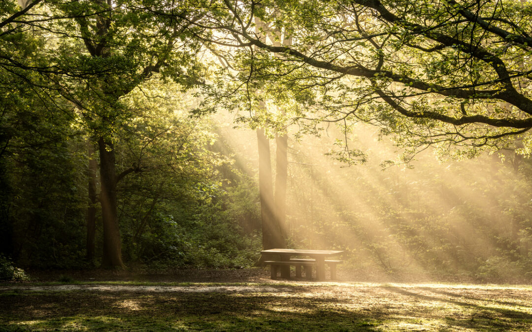 Peace In the Elevator