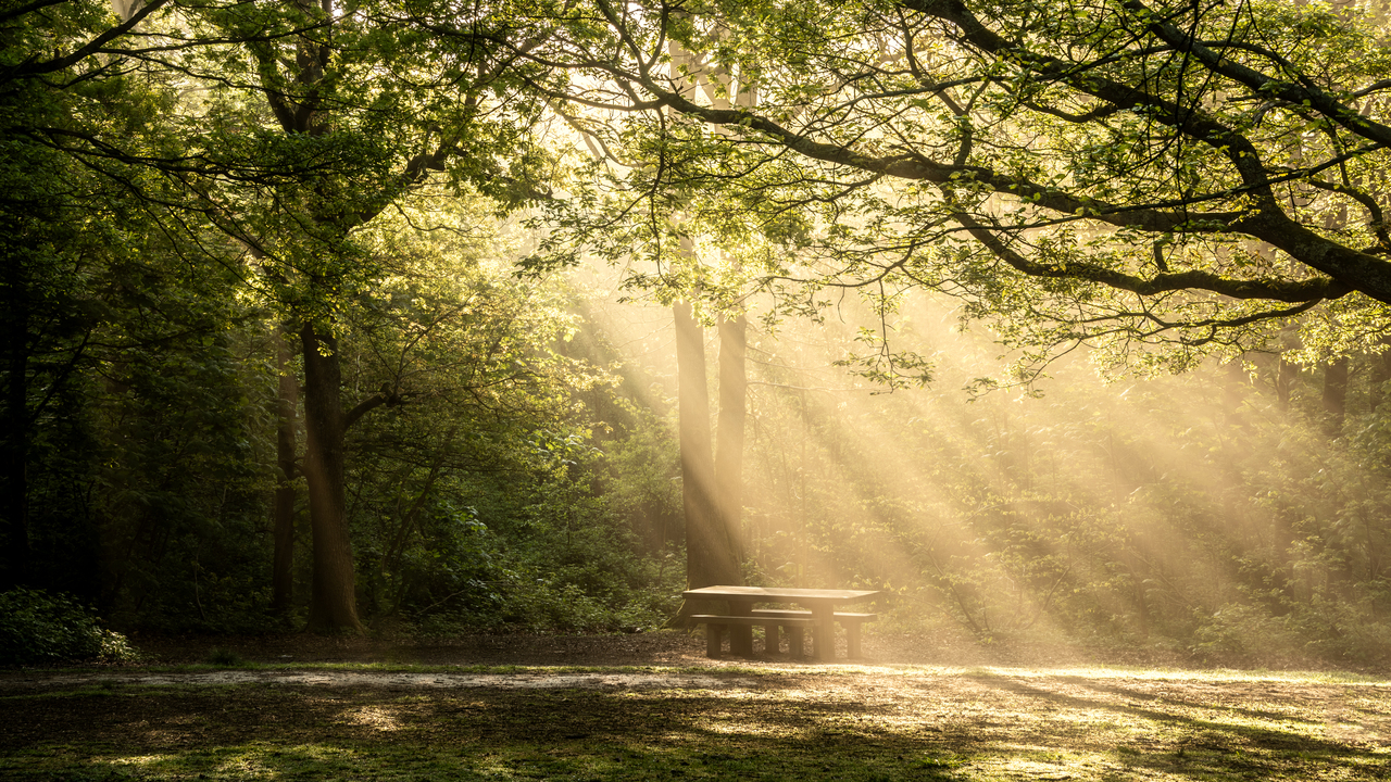 Peace In the Elevator